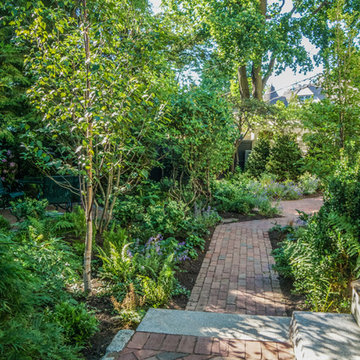Urban Woodland