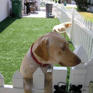 Residential Lawn