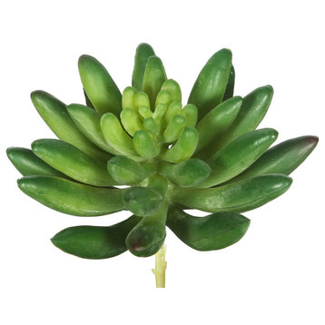 Vickerman Cactus, Green, Set of 6