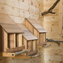 barn/coop