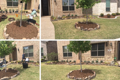 This is an example of a front yard landscaping in Dallas.