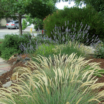 Gainer Garden