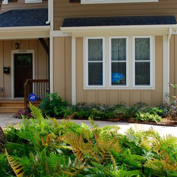 New front yard.
