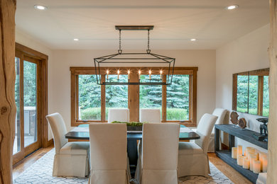 Dining room - transitional dining room idea in Other