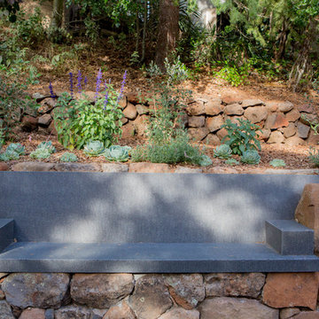 Los Altos Contemporary