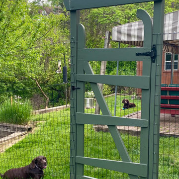Backyard Fence