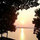 webuser_4126701