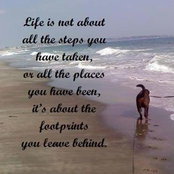 Cathy Mangaudis's photo