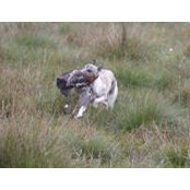 Edward Speir's photo