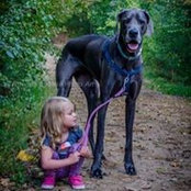 Abbi Anns foto