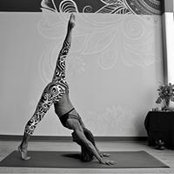 Stephanie Gailey's photo