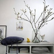 Lam Hien's photo