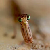 Cael Denford's photo
