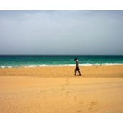 Valerio Guidi's photo