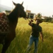 Ali Helbawi's photo