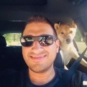 Navid Zolfaghari's photo