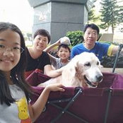 Ann Cheungs foto