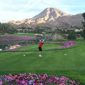 Mike Miller's photo