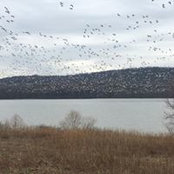 Ami Shecter's photo