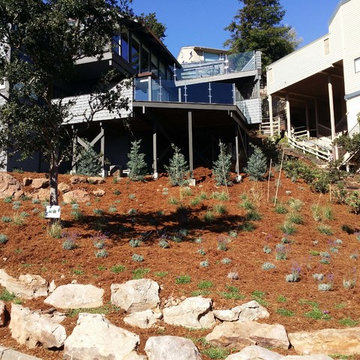 Low Maintenance & Drought Tolerant