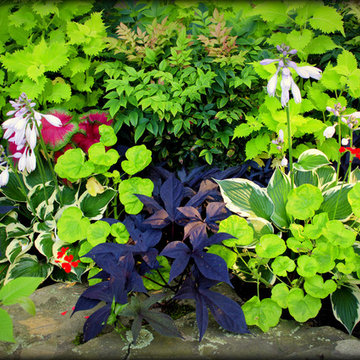 Landscaping Highlights