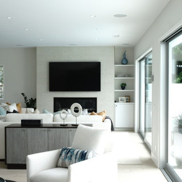 Custom Wall Mounted TV