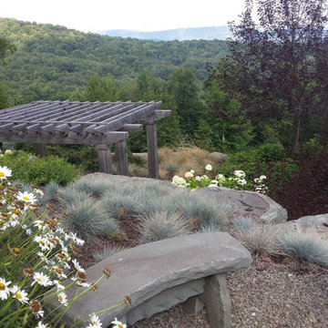 Mountain Top Perch