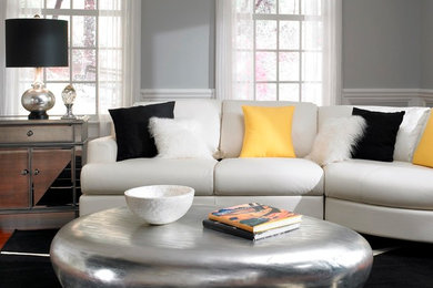 Trendy living room photo in Phoenix