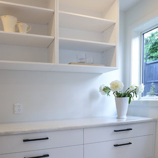 Large kitchen pantry designs - Example of a large galley laminate floor and multicolored floor kitchen pantry design in Auckland with flat-panel cabinets, white cabinets and laminate countertops