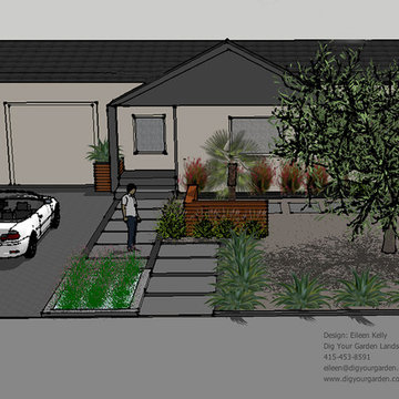 Contemporary Landscape - Dramatic Transformation - San Rafael, CA