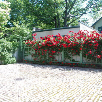 Mediterranean Garden