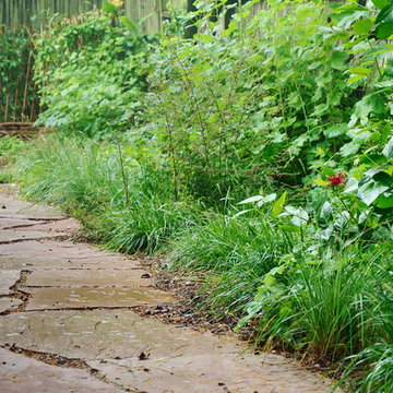 Hillside with Habitat and Food