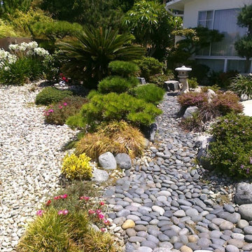 Eco Friendly Landscapes