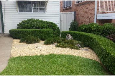 This is an example of a small eclectic front yard full sun formal garden for fall in Sydney with gravel.