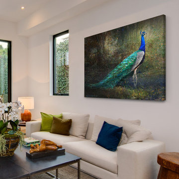 Jungle Stream Peacock