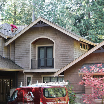 Roof Cleaning & Moss Removal
