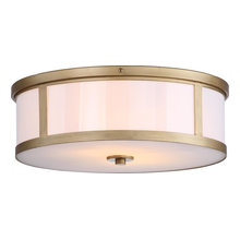 Ceiling Lights