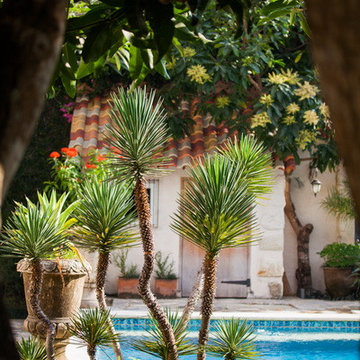 Tropical Garden Design at Villa Mimine Bali