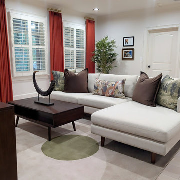 Basement Renovation