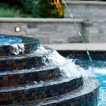 Freeform Pool in Downers Grove, IL