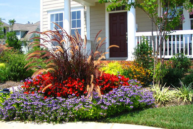 Design ideas for a transitional landscaping in Charlotte.