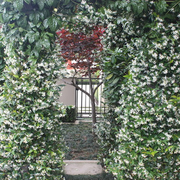 Michelle McDonnell Landscape Design gallery
