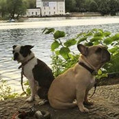Corinne Marrinan Tripp's photo