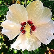 Wanda Bandy's photo