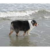Karin Holliday's photo