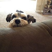 Melinda Lisle's photo