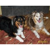 Jenny LaPorte's photo