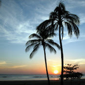 Photo de Kia Gaskins