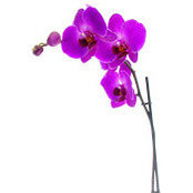 Carsten Sieck's photo