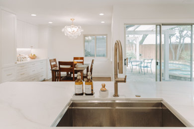Example of a minimalist kitchen design in Dallas